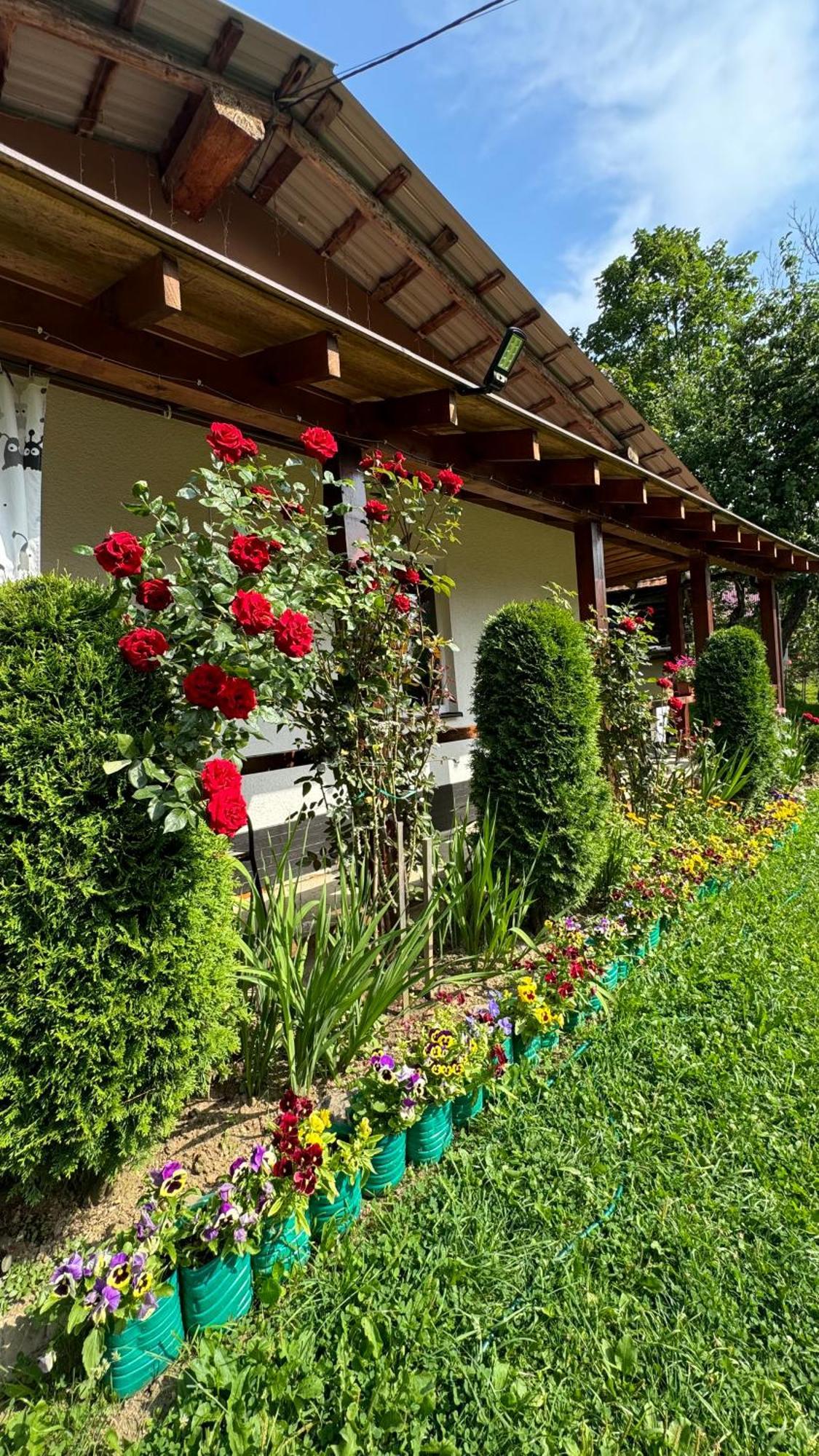 Готель Dacha Podobovets 127 Екстер'єр фото